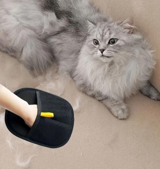 Pet Hair Removal Gloves – Pack of 2